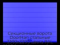 sekczionnyie-vorota-doorhan-stalnyie-2300x2200-czveta-ral-5005-sinij-s-dizajnom-«shirokaya-czentralnaya-polosa»-bez-avtomatiki