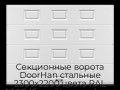 sekczionnyie-vorota-doorhan-stalnyie-2300x2200-czveta-ral-9003-belyij-s-dizajnom-«filenka»-bez-avtomatiki
