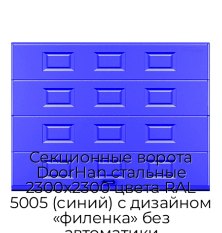 sekczionnyie-vorota-doorhan-stalnyie-2300x2300-czveta-ral-5005-sinij-s-dizajnom-«filenka»-bez-avtomatiki