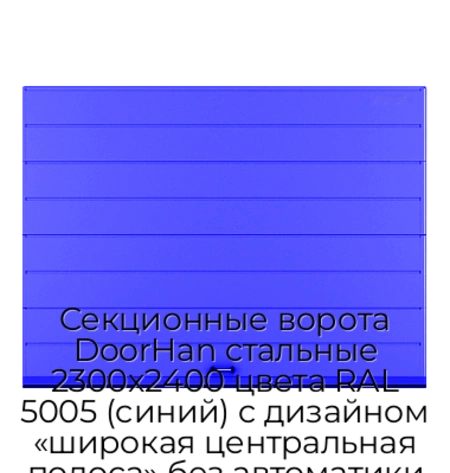 sekczionnyie-vorota-doorhan-stalnyie-2300x2400-czveta-ral-5005-sinij-s-dizajnom-«shirokaya-czentralnaya-polosa»-bez-avtomatiki