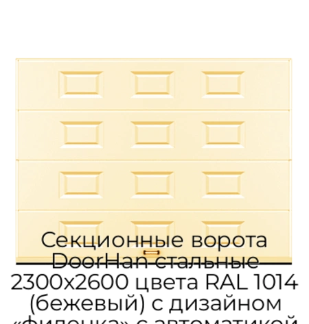 sekczionnyie-vorota-doorhan-stalnyie-2300x2600-czveta-ral-1014-bezhevyij-s-dizajnom-«filenka»-s-avtomatikoj