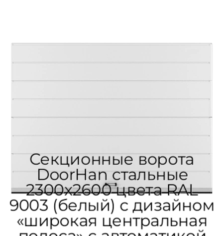 sekczionnyie-vorota-doorhan-stalnyie-2300x2600-czveta-ral-9003-belyij-s-dizajnom-«shirokaya-czentralnaya-polosa»-s-avtomatikoj