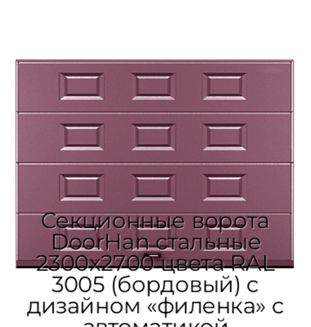 sekczionnyie-vorota-doorhan-stalnyie-2300x2700-czveta-ral-3005-bordovyij-s-dizajnom-«filenka»-s-avtomatikoj
