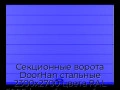 sekczionnyie-vorota-doorhan-stalnyie-2300x2700-czveta-ral-5005-sinij-s-dizajnom-«shirokaya-czentralnaya-polosa»-bez-avtomatiki