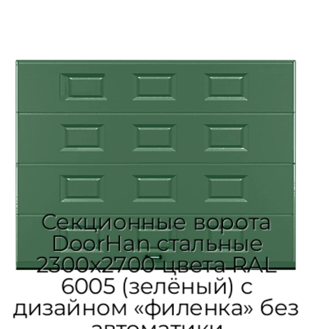 sekczionnyie-vorota-doorhan-stalnyie-2300x2700-czveta-ral-6005-zelyonyij-s-dizajnom-«filenka»-bez-avtomatiki
