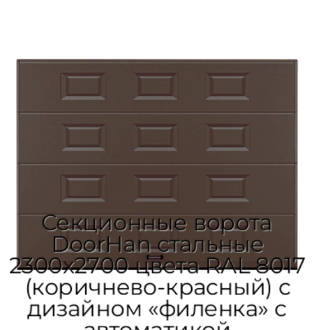 sekczionnyie-vorota-doorhan-stalnyie-2300x2700-czveta-ral-8017-korichnevo-krasnyij-s-dizajnom-«filenka»-s-avtomatikoj
