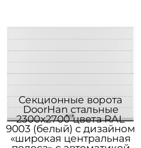 sekczionnyie-vorota-doorhan-stalnyie-2300x2700-czveta-ral-9003-belyij-s-dizajnom-«shirokaya-czentralnaya-polosa»-s-avtomatikoj
