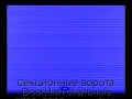 sekczionnyie-vorota-doorhan-stalnyie-2300x2800-czveta-ral-5005-sinij-s-dizajnom-«volna»-s-avtomatikoj