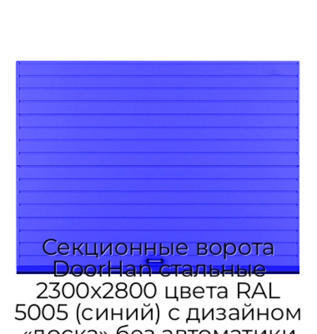 sekczionnyie-vorota-doorhan-stalnyie-2300x2800-czveta-ral-5005-sinij-s-dizajnom-«doska»-bez-avtomatiki
