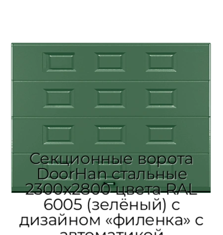 sekczionnyie-vorota-doorhan-stalnyie-2300x2800-czveta-ral-6005-zelyonyij-s-dizajnom-«filenka»-s-avtomatikoj