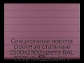 sekczionnyie-vorota-doorhan-stalnyie-2300x2900-czveta-ral-3005-bordovyij-s-dizajnom-«shirokaya-czentralnaya-polosa»-s-avtomatikoj