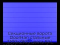 sekczionnyie-vorota-doorhan-stalnyie-2300x2900-czveta-ral-5005-sinij-s-dizajnom-«shirokaya-czentralnaya-polosa»-s-avtomatikoj
