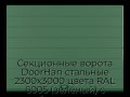sekczionnyie-vorota-doorhan-stalnyie-2300x3000-czveta-ral-6005-zelyonyij-s-dizajnom-«shirokaya-czentralnaya-polosa»-bez-avtomatiki