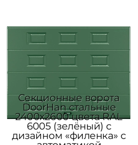 sekczionnyie-vorota-doorhan-stalnyie-2400x2600-czveta-ral-6005-zelyonyij-s-dizajnom-«filenka»-s-avtomatikoj