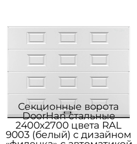 sekczionnyie-vorota-doorhan-stalnyie-2400x2700-czveta-ral-9003-belyij-s-dizajnom-«filenka»-s-avtomatikoj