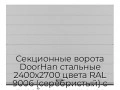 sekczionnyie-vorota-doorhan-stalnyie-2400x2700-czveta-ral-9006-serebristyij-s-dizajnom-«shirokaya-czentralnaya-polosa»-s-avtomatikoj