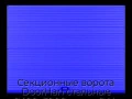 sekczionnyie-vorota-doorhan-stalnyie-2400x3000-czveta-ral-5005-sinij-s-dizajnom-«volna»-bez-avtomatiki