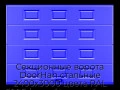 sekczionnyie-vorota-doorhan-stalnyie-2400x3000-czveta-ral-5005-sinij-s-dizajnom-«filenka»-bez-avtomatiki