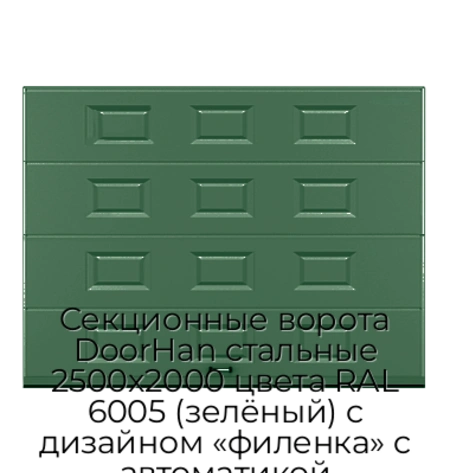 sekczionnyie-vorota-doorhan-stalnyie-2500x2000-czveta-ral-6005-zelyonyij-s-dizajnom-«filenka»-s-avtomatikoj