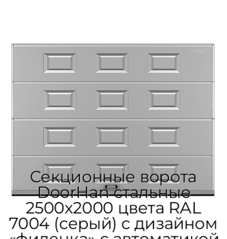 sekczionnyie-vorota-doorhan-stalnyie-2500x2000-czveta-ral-7004-seryij-s-dizajnom-«filenka»-s-avtomatikoj