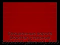 sekczionnyie-vorota-doorhan-stalnyie-2500x2100-czveta-ral-3000-krasnyij-s-dizajnom-«shirokaya-czentralnaya-polosa»-bez-avtomatiki