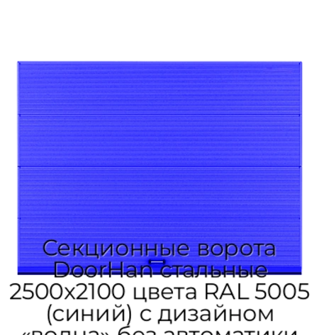sekczionnyie-vorota-doorhan-stalnyie-2500x2100-czveta-ral-5005-sinij-s-dizajnom-«volna»-bez-avtomatiki
