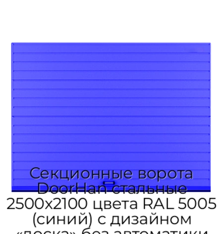 sekczionnyie-vorota-doorhan-stalnyie-2500x2100-czveta-ral-5005-sinij-s-dizajnom-«doska»-bez-avtomatiki