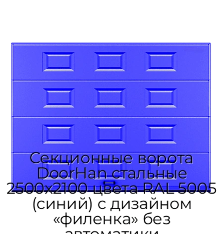 sekczionnyie-vorota-doorhan-stalnyie-2500x2100-czveta-ral-5005-sinij-s-dizajnom-«filenka»-bez-avtomatiki
