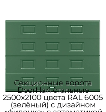 sekczionnyie-vorota-doorhan-stalnyie-2500x2100-czveta-ral-6005-zelyonyij-s-dizajnom-«filenka»-s-avtomatikoj