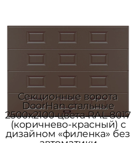 sekczionnyie-vorota-doorhan-stalnyie-2500x2100-czveta-ral-8017-korichnevo-krasnyij-s-dizajnom-«filenka»-bez-avtomatiki