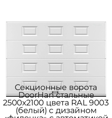 sekczionnyie-vorota-doorhan-stalnyie-2500x2100-czveta-ral-9003-belyij-s-dizajnom-«filenka»-s-avtomatikoj