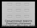 sekczionnyie-vorota-doorhan-stalnyie-2500x2100-czveta-ral-9006-serebristyij-s-dizajnom-«filenka»-bez-avtomatiki