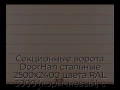 sekczionnyie-vorota-doorhan-stalnyie-2500x2400-czveta-ral-3000-korichnevyij-s-dizajnom-«shirokaya-czentralnaya-polosa»-s-avtomatikoj