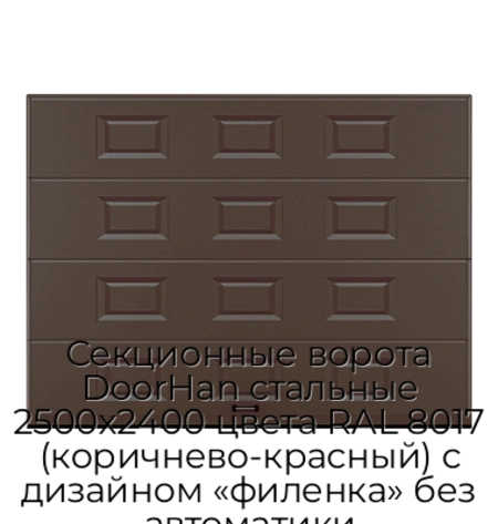 sekczionnyie-vorota-doorhan-stalnyie-2500x2400-czveta-ral-8017-korichnevo-krasnyij-s-dizajnom-«filenka»-bez-avtomatiki