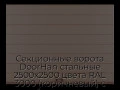 sekczionnyie-vorota-doorhan-stalnyie-2500x2500-czveta-ral-3000-korichnevyij-s-dizajnom-«shirokaya-czentralnaya-polosa»-bez-avtomatiki