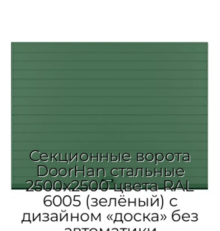 sekczionnyie-vorota-doorhan-stalnyie-2500x2500-czveta-ral-6005-zelyonyij-s-dizajnom-«doska»-bez-avtomatiki