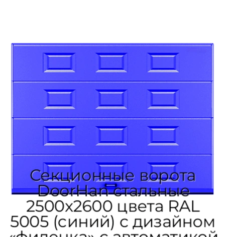 sekczionnyie-vorota-doorhan-stalnyie-2500x2600-czveta-ral-5005-sinij-s-dizajnom-«filenka»-s-avtomatikoj