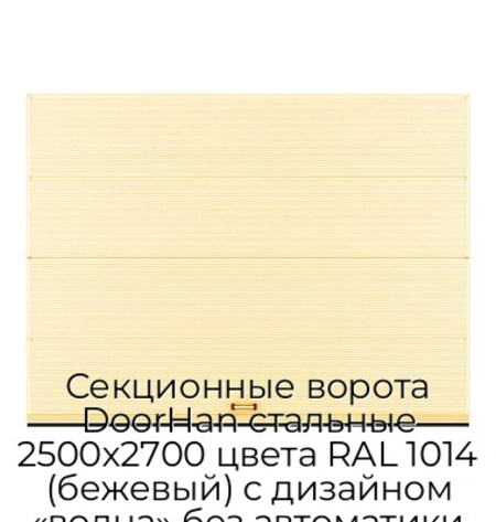 sekczionnyie-vorota-doorhan-stalnyie-2500x2700-czveta-ral-1014-bezhevyij-s-dizajnom-«volna»-bez-avtomatiki