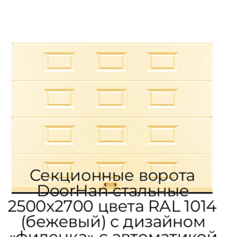 sekczionnyie-vorota-doorhan-stalnyie-2500x2700-czveta-ral-1014-bezhevyij-s-dizajnom-«filenka»-s-avtomatikoj