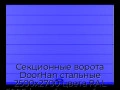 sekczionnyie-vorota-doorhan-stalnyie-2500x2700-czveta-ral-5005-sinij-s-dizajnom-«shirokaya-czentralnaya-polosa»-bez-avtomatiki