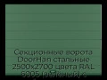 sekczionnyie-vorota-doorhan-stalnyie-2500x2700-czveta-ral-6005-zelyonyij-s-dizajnom-«shirokaya-czentralnaya-polosa»-bez-avtomatiki