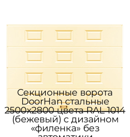 sekczionnyie-vorota-doorhan-stalnyie-2500x2800-czveta-ral-1014-bezhevyij-s-dizajnom-«filenka»-bez-avtomatiki