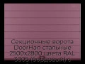 sekczionnyie-vorota-doorhan-stalnyie-2500x2800-czveta-ral-3005-bordovyij-s-dizajnom-«shirokaya-czentralnaya-polosa»-bez-avtomatiki