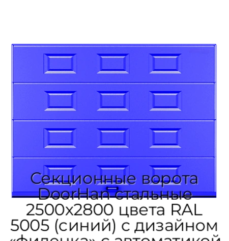sekczionnyie-vorota-doorhan-stalnyie-2500x2800-czveta-ral-5005-sinij-s-dizajnom-«filenka»-s-avtomatikoj