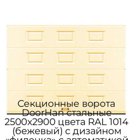 sekczionnyie-vorota-doorhan-stalnyie-2500x2900-czveta-ral-1014-bezhevyij-s-dizajnom-«filenka»-s-avtomatikoj