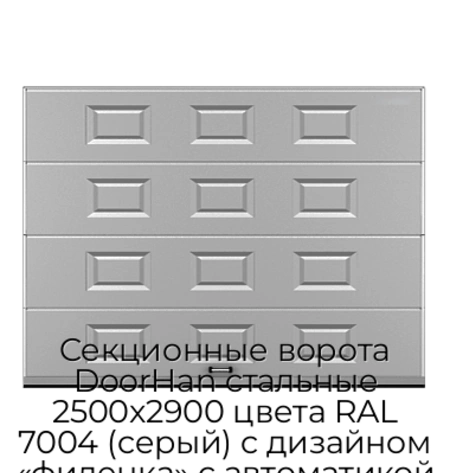 sekczionnyie-vorota-doorhan-stalnyie-2500x2900-czveta-ral-7004-seryij-s-dizajnom-«filenka»-s-avtomatikoj