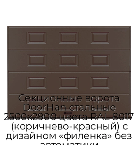 sekczionnyie-vorota-doorhan-stalnyie-2500x2900-czveta-ral-8017-korichnevo-krasnyij-s-dizajnom-«filenka»-bez-avtomatiki