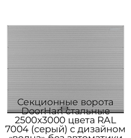 sekczionnyie-vorota-doorhan-stalnyie-2500x3000-czveta-ral-7004-seryij-s-dizajnom-«volna»-bez-avtomatiki