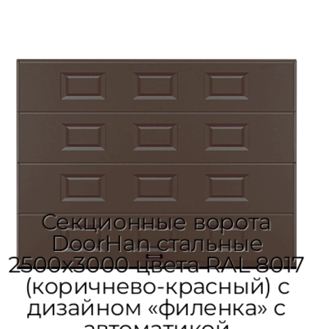 sekczionnyie-vorota-doorhan-stalnyie-2500x3000-czveta-ral-8017-korichnevo-krasnyij-s-dizajnom-«filenka»-s-avtomatikoj