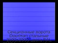 sekczionnyie-vorota-doorhan-stalnyie-2600x2000-czveta-ral-5005-sinij-s-dizajnom-«shirokaya-czentralnaya-polosa»-s-avtomatikoj